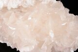 6.8" Bladed, Pink Manganoan Calcite Crystal Cluster - China - #193404-3
